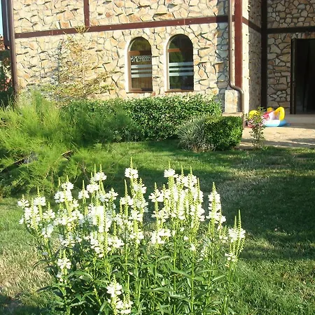 Etara 2 Свети-Влас